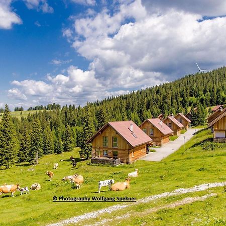 Beautiful Holiday Home In Weinebene With Sauna Posch Alpe Exteriör bild