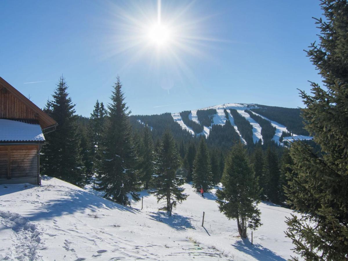 Beautiful Holiday Home In Weinebene With Sauna Posch Alpe Exteriör bild
