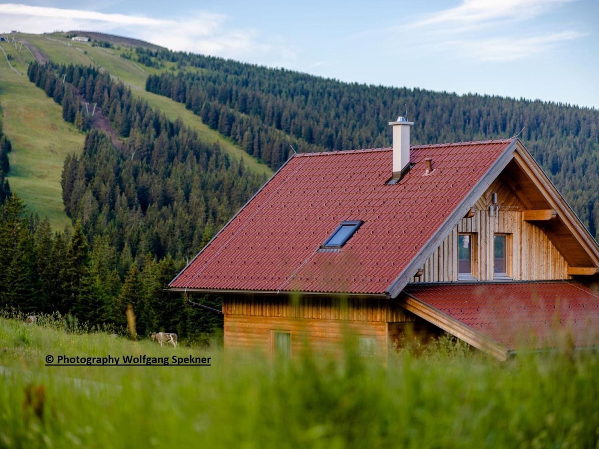Beautiful Holiday Home In Weinebene With Sauna Posch Alpe Exteriör bild