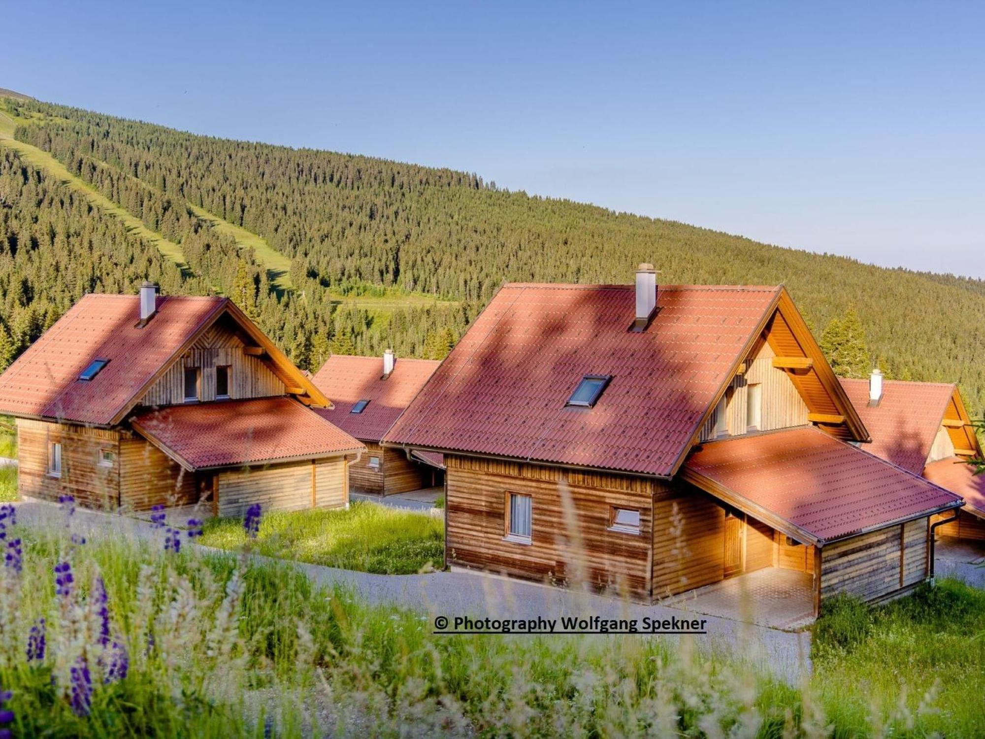 Beautiful Holiday Home In Weinebene With Sauna Posch Alpe Exteriör bild
