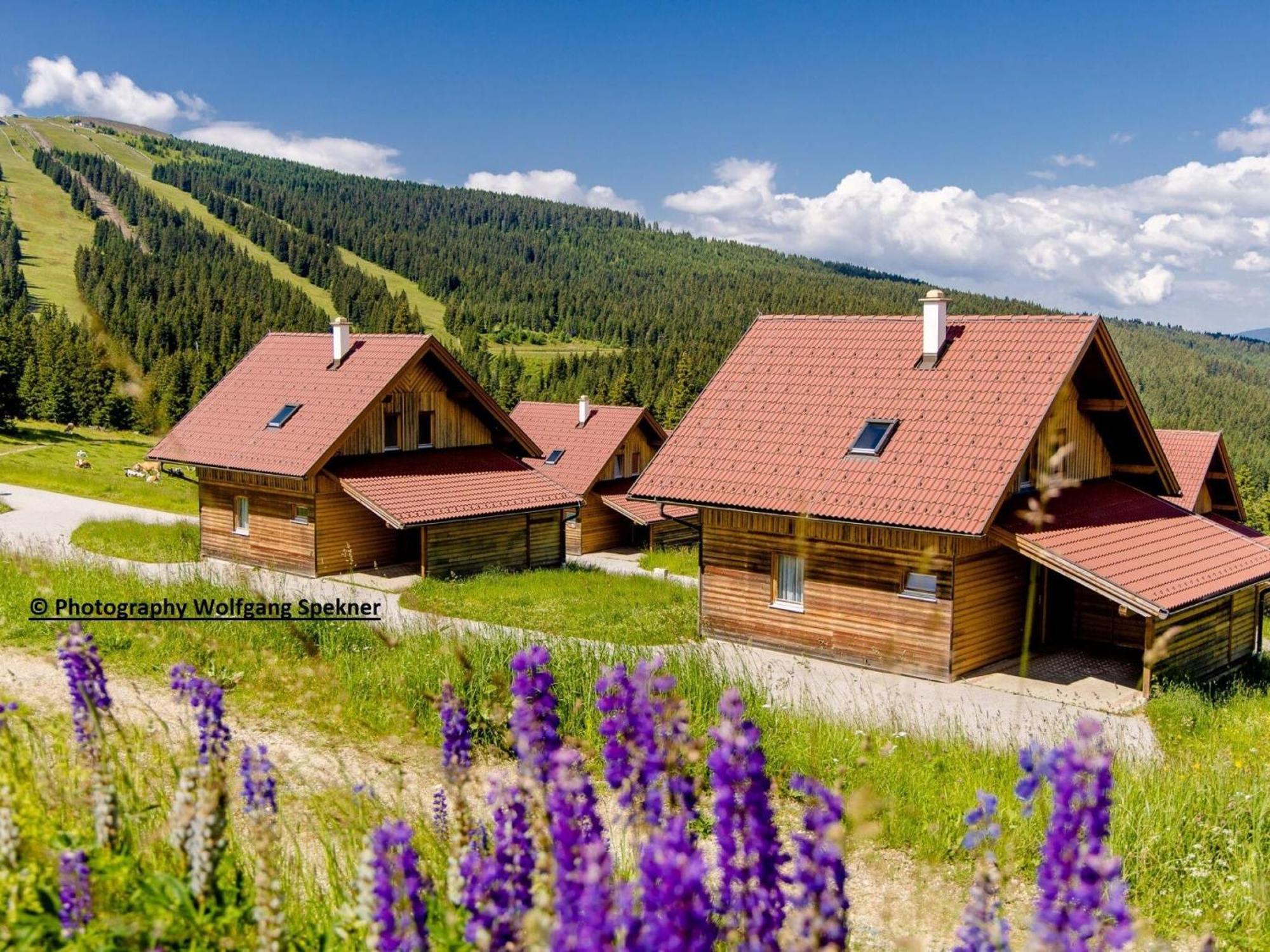 Beautiful Holiday Home In Weinebene With Sauna Posch Alpe Exteriör bild