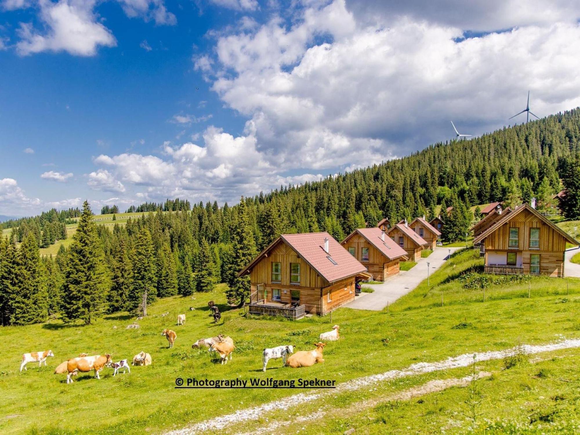 Beautiful Holiday Home In Weinebene With Sauna Posch Alpe Exteriör bild